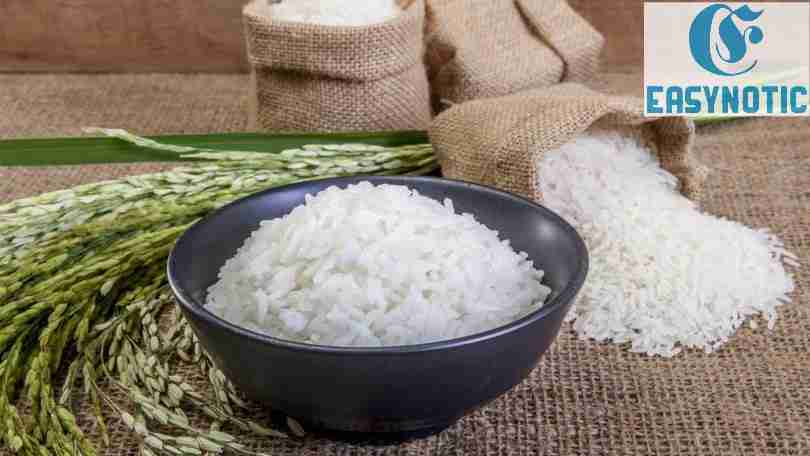 ¿Sabes cómo reacciona nuestro cuerpo al consumir arroz?